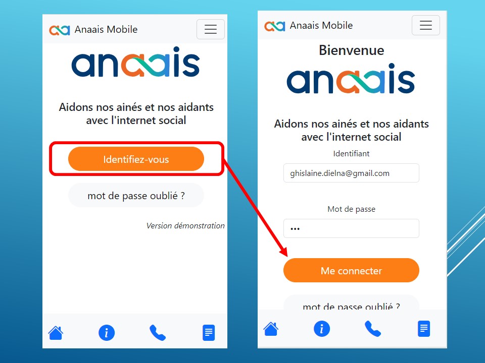 ANAAIS Demo